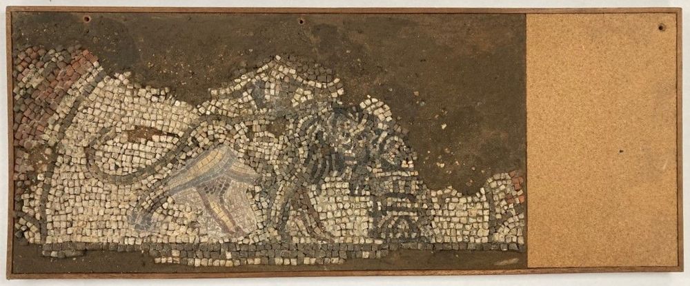 Fragment of an ancient mosaic depicting a lion in profile, facing right. The lion is rendered in small tesserae of varying shades, including cream, grey, brown, and muted red, suggesting fur texture and muscle definition. The background is partially preserved, with much of the right side missing or incomplete, replaced by a plain wooden backing. The lion's body and part of its head are distinguishable, including a raised forepaw and a flowing mane. The piece is mounted on a rectangular board for preservation and display.