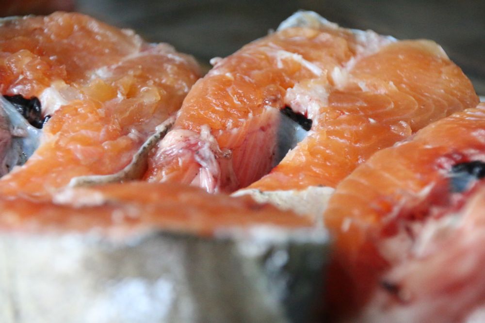 A close up of freshly cut glistening orange-pink trout steaks