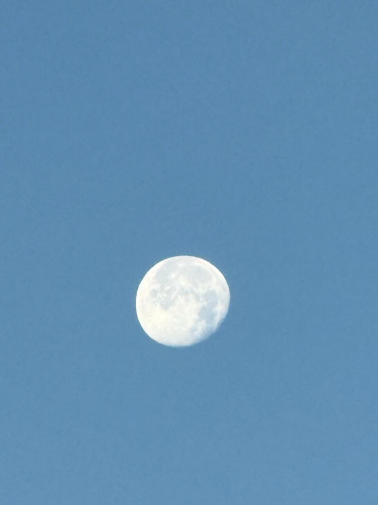 A pale blue sky and a slightly waining full moon. 
