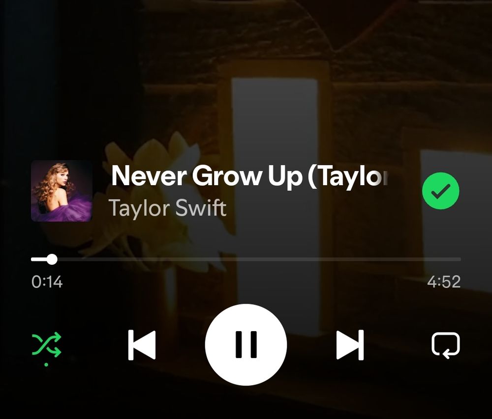 Print da música "Never Grow Up (Taylor's version)" da Taylor Swift
