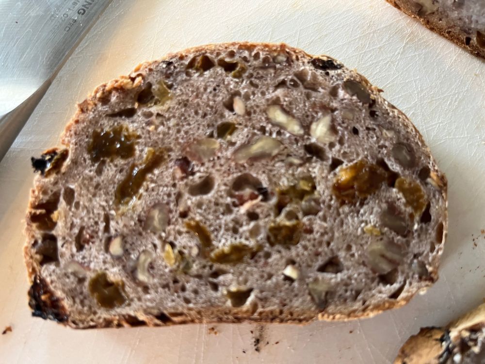 A slightly out of focus shot of a slice of the bread from the previous picture. The interior is studded with golden raisins and chopped pecans, and the crumb structure is tinged faintly purple from the raisins.