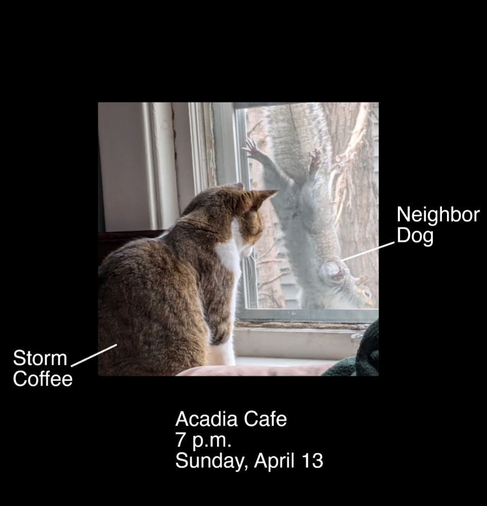 A makeshift show flyer consisting of a photo of a cat looking out a window at a squirrel clinging upside down to the window screen outside, framed by a black background. White text that says "Storm Coffee" and "Neighbor Dog" is present to either side of the image, and white lines run from "Storm Coffee" to the cat and from "Neighbor Dog" to the squirrel. (Storm Coffee and Neighbor Dog are the bands playing this show.) White text below the image reads, "Acadia Cafe, 7 p.m., Sunday, April 13."