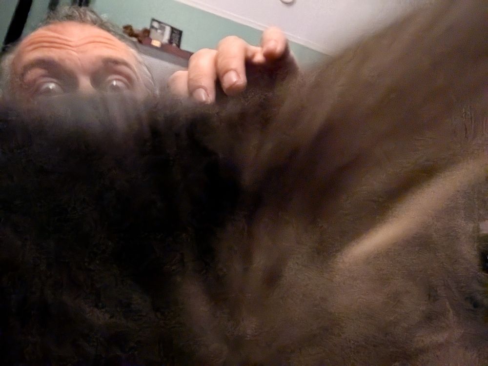 Super close up of our cat, Newton, with myself just barely seen over his head as I try and fail to get a selfie shot of the both of us but somebody was busy being a cuddly boy. 