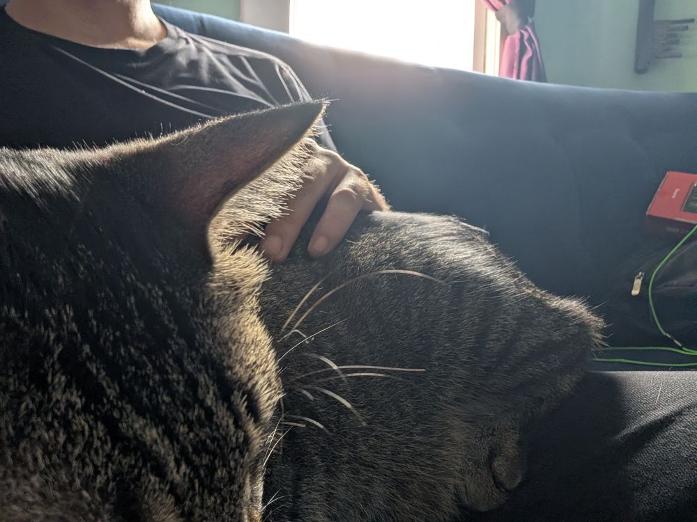 Myself and our cat, Newton, sitting on the couch. Newton asleep across my lap, as he had tired himself out from 3 straight days of cuddles. He a good boy. Mostly. Smiley face. 