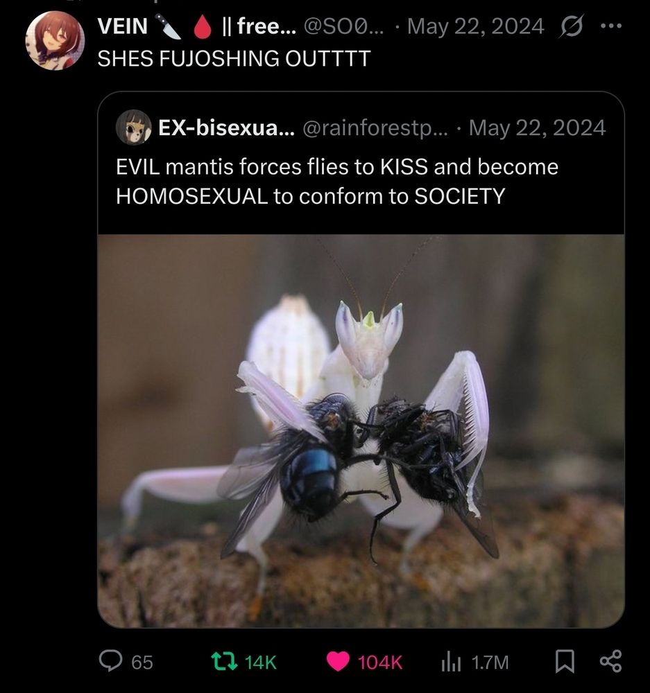 foto de um louva deus (branco com umas partes do corpo meio lavanda clarinho) segurando dois insetos com a legenda "EVIL mantis forces flies to KISS and become HOMOSEXUAL to conform to SOCIETY" dai alguém repostou isso com a legenda "SHES FUJOSHING OUTTTT"
