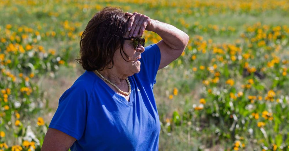 Irene Gilbert is a 76-year-old retired state employee on a mission, fighting energy projects like large wind farms in Oregon’s rural communities. Renewable energy advocates and lawmakers treat activis...