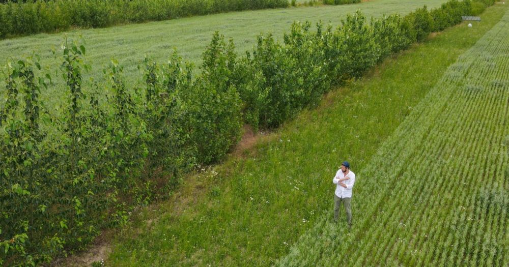 This ancient practice could help revitalize America’s corn belt