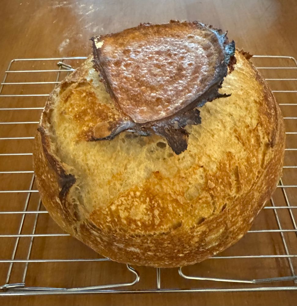 Sourdough boule on a rack on a wood table