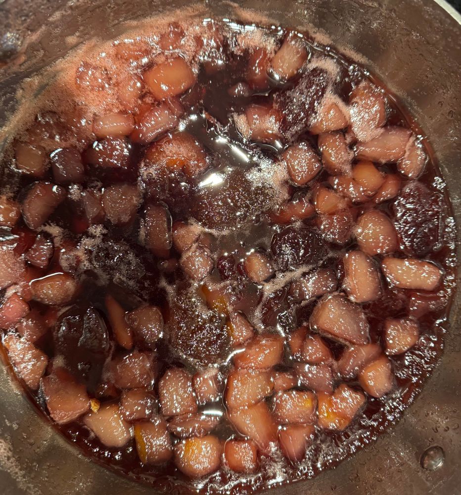 The apples, pears and plums all cooked down. 