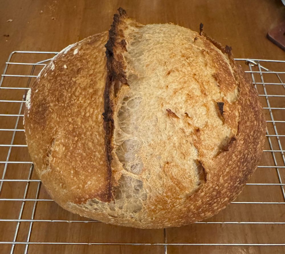 Sourdough boule on a rack on a wood table. 