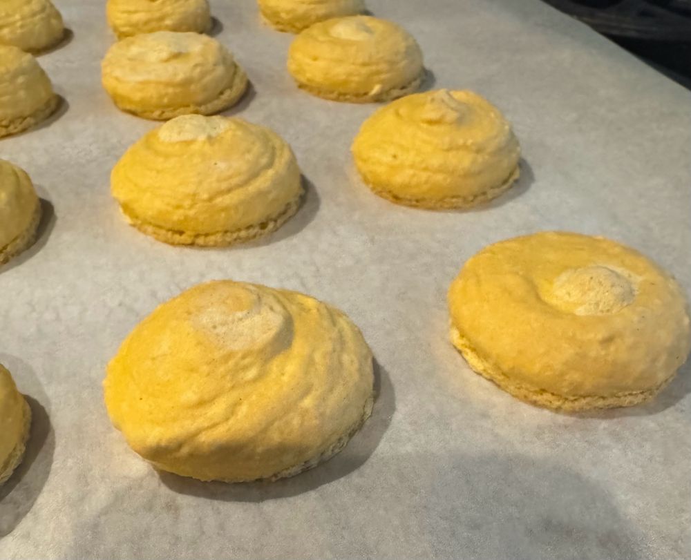 Yellow macarons on parchment. They look a bit bumpy but they have feet!