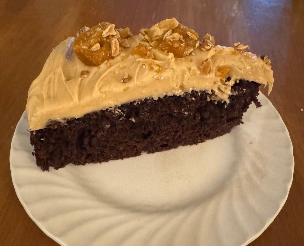 The cake sliced on a white plate on a wood table. 