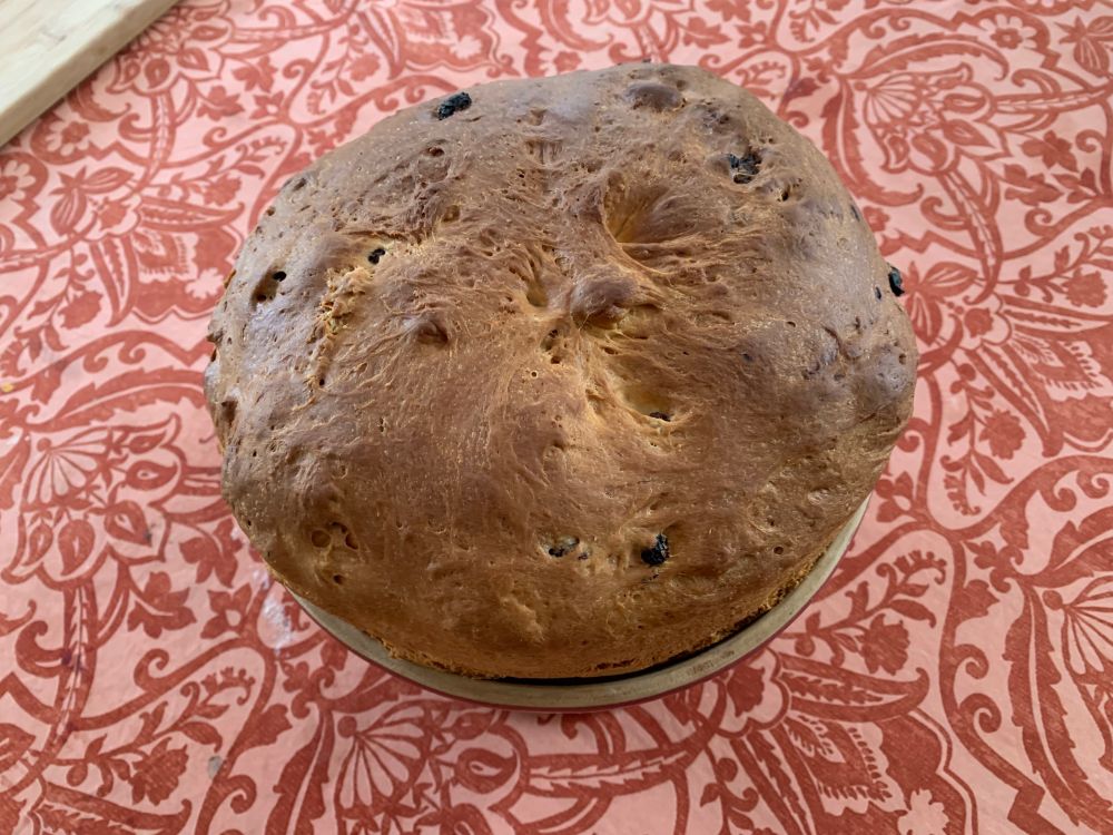 Le même kougloff, vu du dessus. Il a vraiment beaucoup monté au-dessus des bords du moule.