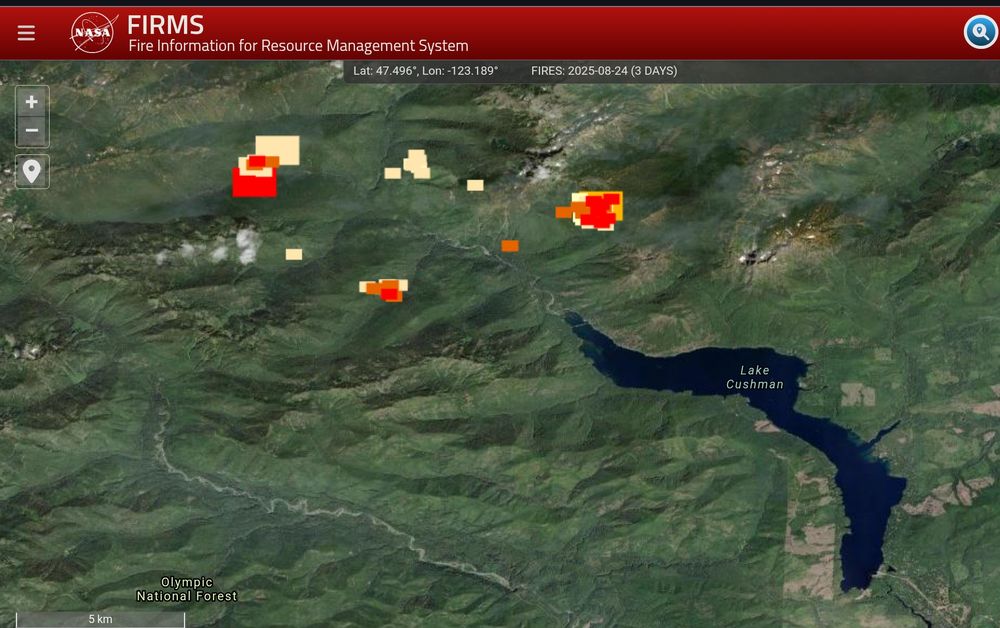 A satellite view of Olympic National Forest showing active wildfires near Lake Cushman, indicated by red and yellow hotspots.