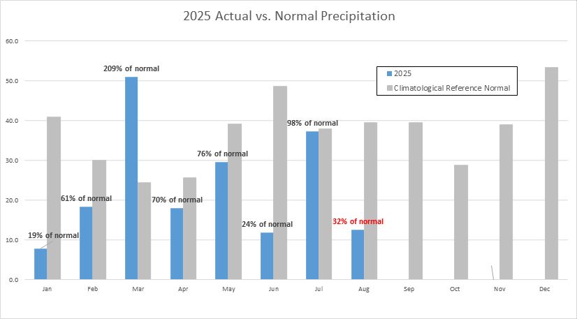 Chart of precipitation variance from the 1961-1990 climatological reference normal. Vertical scale is in mm and text label is percent of normal. 