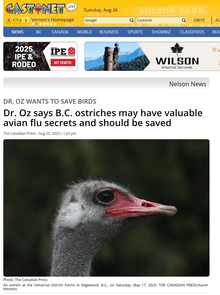 Sensational news story about a doctor named Oz who claims to have knowledge around the pathology of ostriches