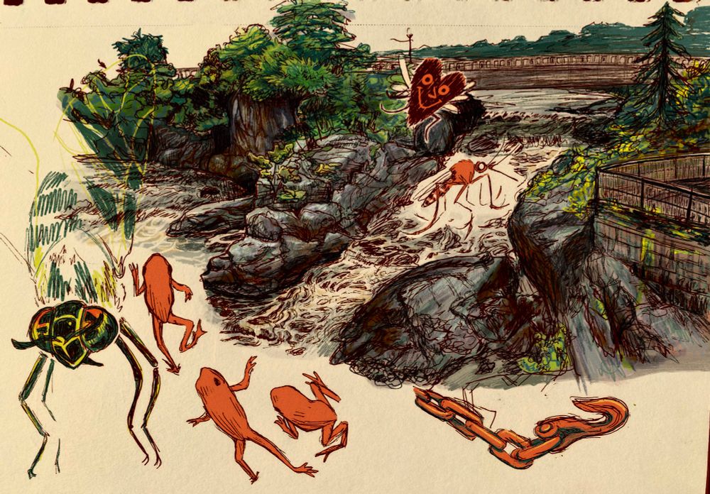 A digitally colored sketchbook collage containing waterfalls, young toads, a mosquito, and a deer fly.
