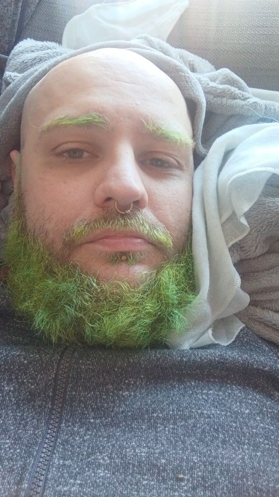 A bit smudgy selfie of myself - a white, bald dude with my beard and eyebrows dyed green, now a bit faded. I'm wearing a gray hoodie with a zipper and am lying down on a couch with some blankets under my head. Light is very soft and the scene looks whimsical. For some reason I make a mildly disgruntled - or maybe just bored - face 