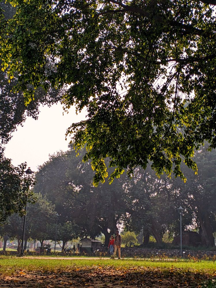 A couple walking in the park on a sunny day.