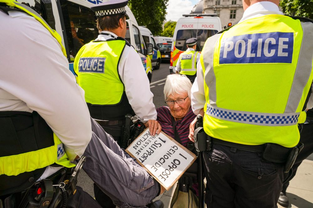 Nurses, doctors, retired people and architects among 466 protesters arrested as terrorism suspects