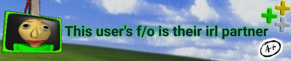 "This user's f/o is their irl partner"