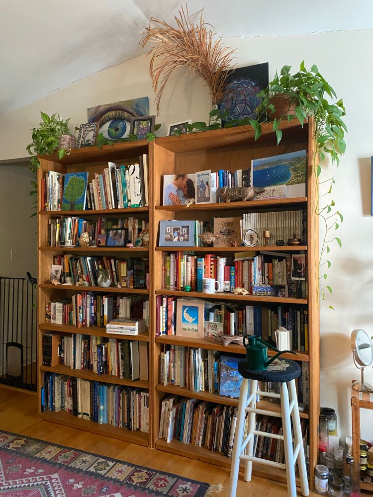Big traily pothos plants on main room bookshelves. 