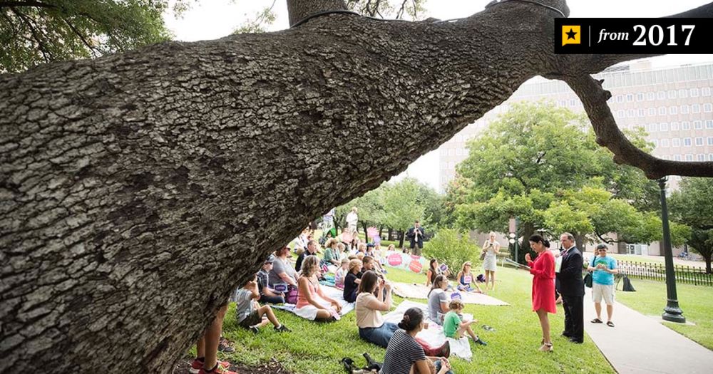 Gov. Greg Abbott signs bill restricting city tree removal policies