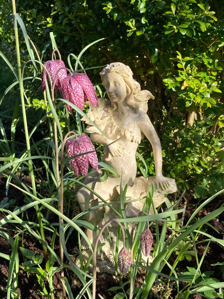 Fritillaria meleagris with a fairy 