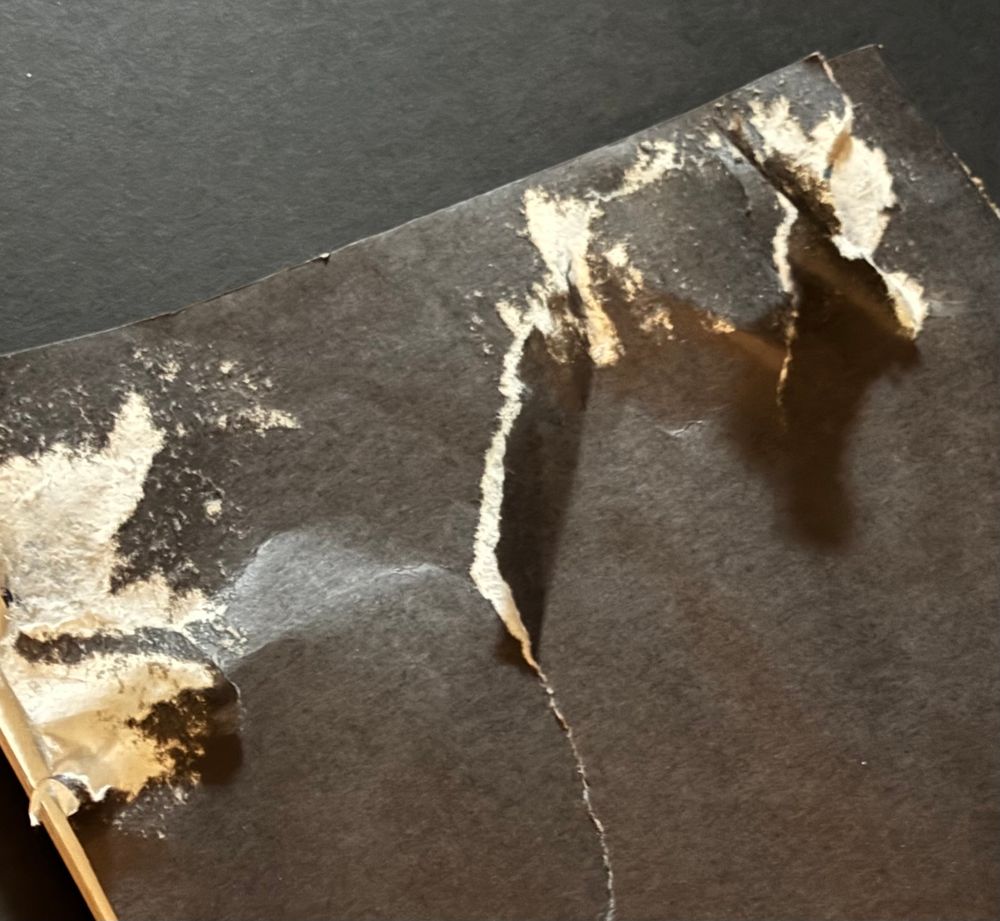 Back of it showing major damage to the thick black paper that wraps around to the front 