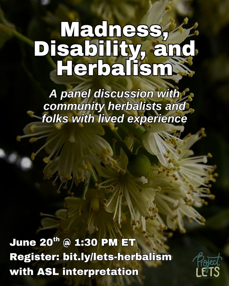 Flyer with a background of blooming linden flowers. Text reads:
“Madness, Disability, and Herbalism. A panel discussion with community herbalists and folks with lived experience. June 20ᵗʰ @ 1:30 PM ET. Register: bit.ly/lets-herbalism with ASL interpretation.” Project LETS logo in bottom right corner.
