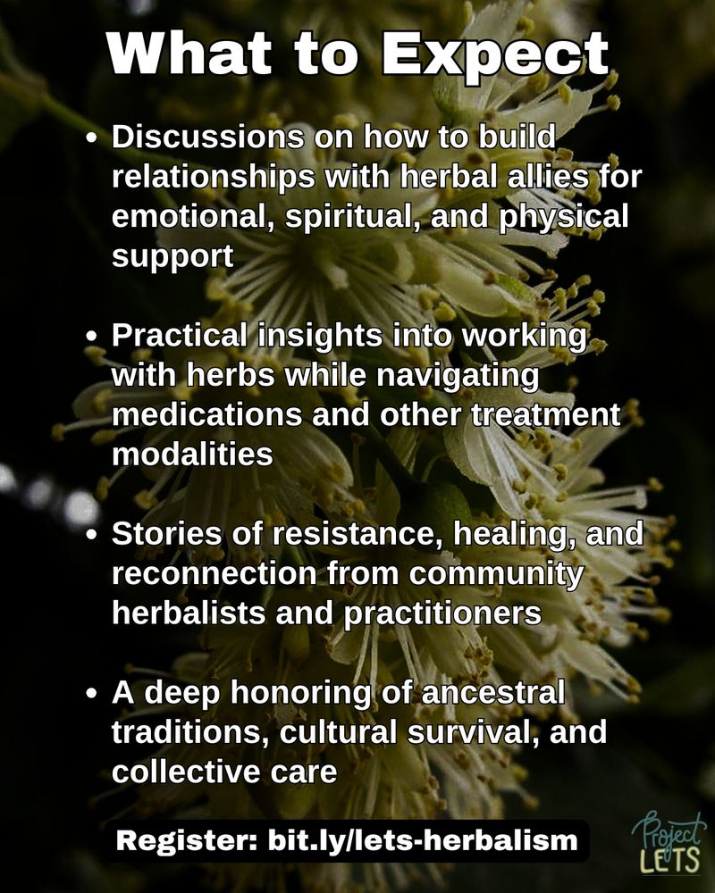 Flyer with a background of blooming linden flowers. Text reads:
“What to expect - Discussions on how to build relationships with herbal allies for emotional, spiritual, and physical support; Practical insights into working with herbs while navigating medications and other treatment modalities; Stories of resistance, healing, and reconnection from community herbalists and practitioners; A deep honoring of ancestral traditions, cultural survival, and collective care. Register: bit.ly/lets-herbalism” Project LETS logo in bottom right corner.
