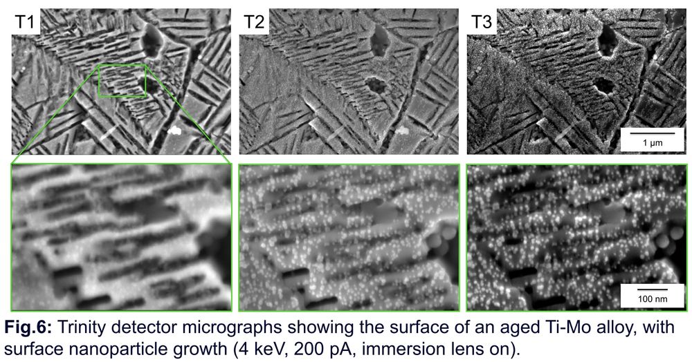 A set of three micrographs showing the different imaging modes of the microscope, and then a higher magnification zoom of the same area. Each panel is a grey scale image showing microstructural features. The scales on these are both 'great', with a 1 micrometer scale bar for the upper set and a 100 nm scale bar for the lower set.