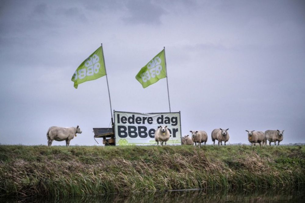 Het Nederlandse natuurbeleid lijkt meer op doelbewuste sabotage