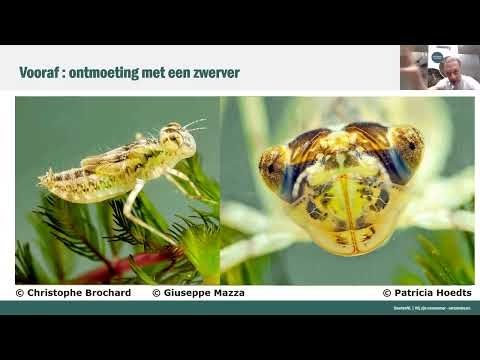 Wat weten we van natuur? #1 – Natuurdata & Waarnemingen Valideren | College door Sander Turnhout