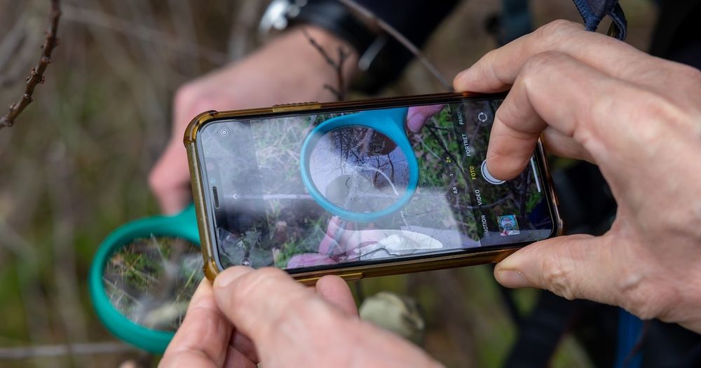 Een onderzoeker van de Vlinderstichting is met de dood bedreigd na publicatie van een onderzoek naar pesticiden in natuurgebieden. De stichting heeft het onderzoek nu offline gehaald. „Het is absurd d...
