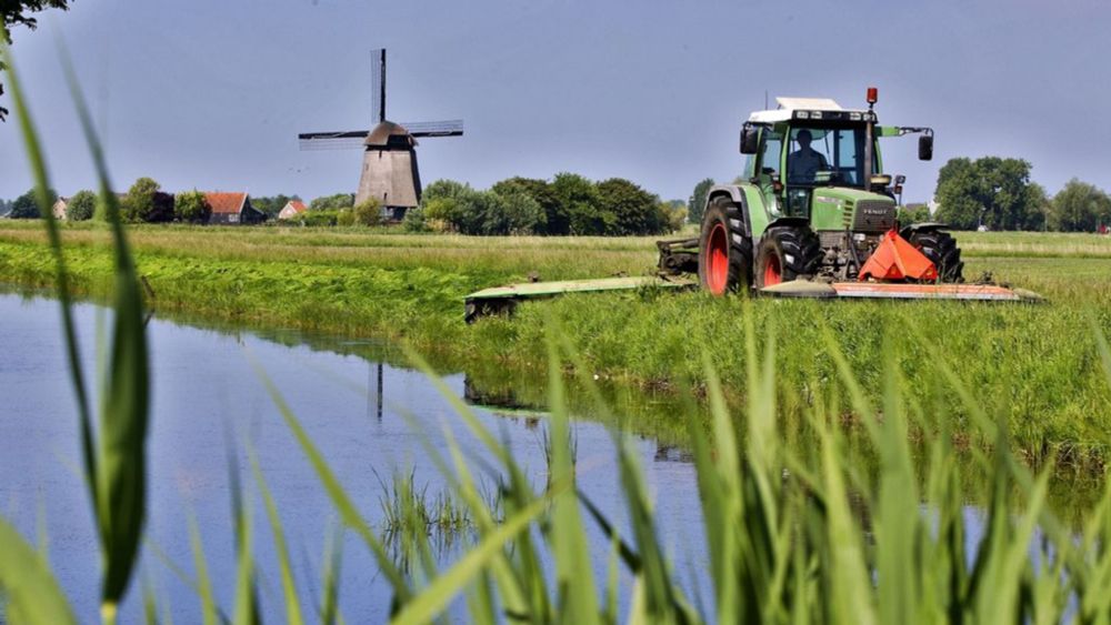 Te veel stikstof en fosfor in water: ‘Doelen gaan we niet halen’