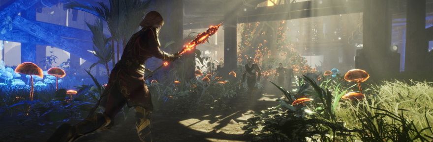 Ashes of Creation players spill the beans about pre-alpha testing as verbal and written NDAs lift