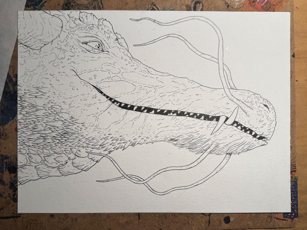 Drawing of a dragon’s head