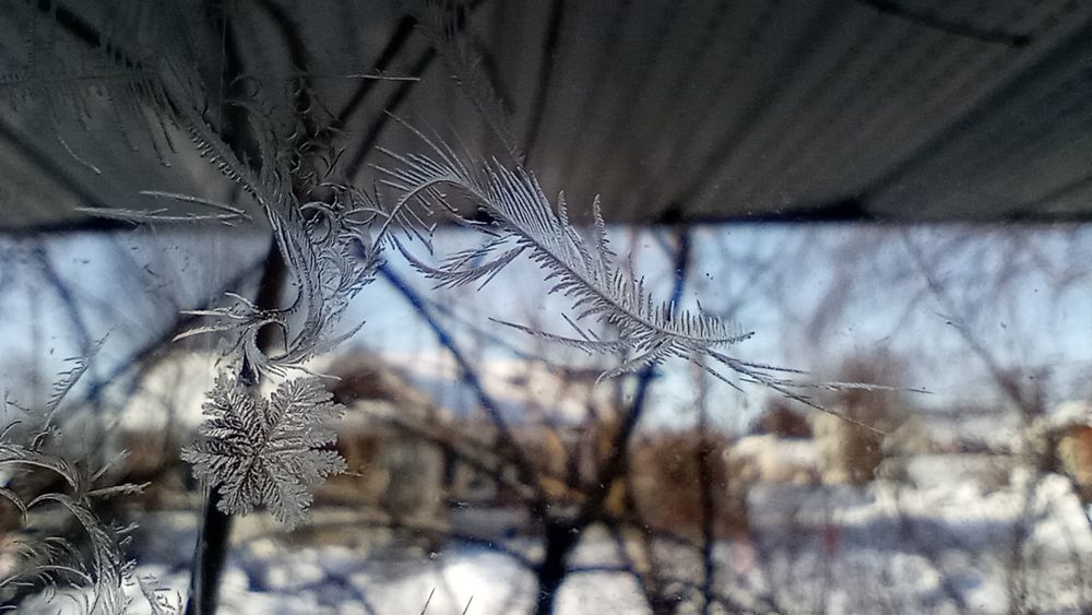 A snowflake pattern blooming out of "twigs" formed by ice.