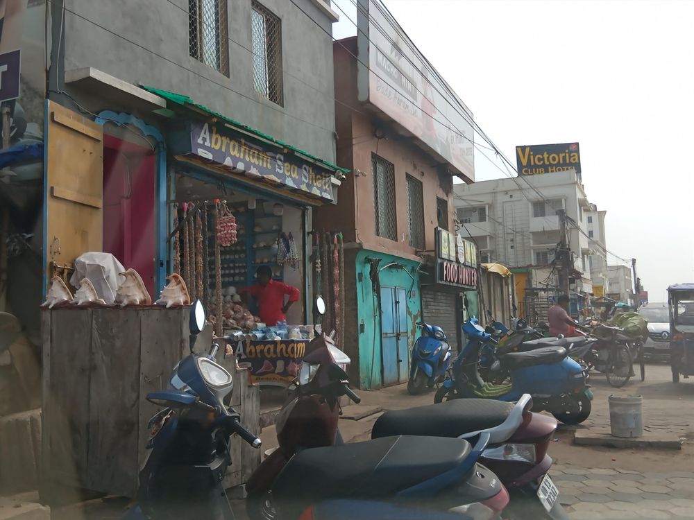 A roadside shop called Abraham Sea Shells featuring a display of local seashells in various sizes. The shoreline is on the other side of the road, just outside the camera view.