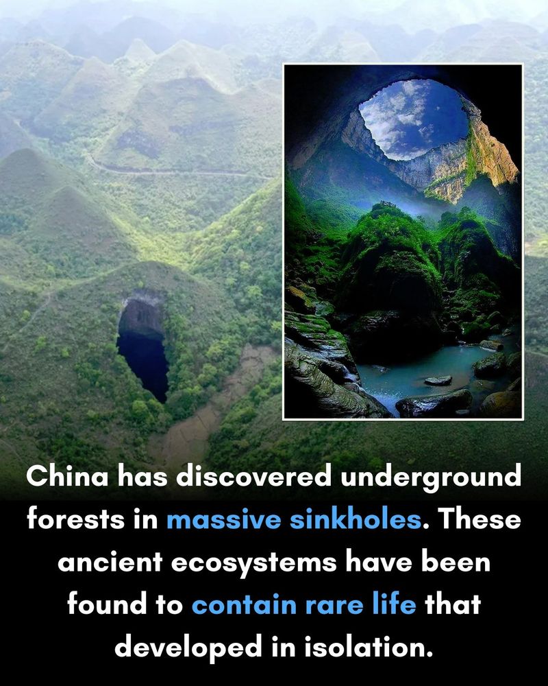 Erdloch in China mit unterirdischem Wald und eigener Art entdeckt: In der Autonomen Region Guangxi Zhuang in China wurde ein riesiges Erdloch oder Tiankeng („himmlische Grube“) entdeckt, an dessen Grund sich ein Wald befindet.

Das Erdloch ist 192 Meter tief, 306 Meter lang und 150 Meter breit. Und es gibt dort uralte Bäume, die bis zu 40 Meter hoch werden, und dichtes Unterholz, das bis zur Schulter eines Menschen reicht. Wissenschaftler sind davon überzeugt, dass die üppige Umgebung noch zu entdeckende Arten beheimaten könnte.

Karstlandschaften wie dieses Dolinenloch entstehen im Laufe der Zeit, wenn saures Regenwasser das Grundgestein auflöst und riesige Höhlen und Hohlräume entstehen, die manchmal einstürzen. Dolinen sind nicht nur ein beeindruckendes Erscheinungsbild, sondern auch wichtige Ökosysteme und Zuleitungen zu den Grundwasserleitern, die weltweit 700 Millionen Menschen mit Wasser versorgen.

Die Entdeckung untermauert den Ruf Guangxis für seine spektakulären Karstformationen, die zum UNESCO-Weltkulturerbe erklärt wurden, und erhöht die Gesamtzahl der Dolinen im Kreis Leye auf 30. Diese „himmlische Grube“ bietet einen Einblick in die verborgenen Wunder der unterirdischen Ökosysteme der Erde.

Bild: Voice of China