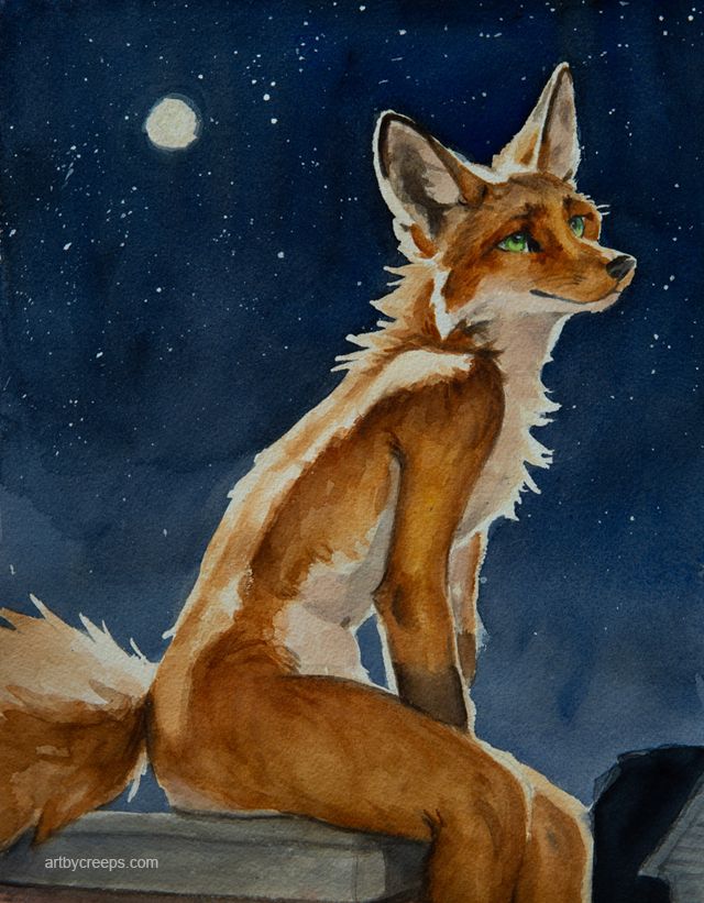A watercolor painting for an anthro red fox sitting on a rooftop stargazing.