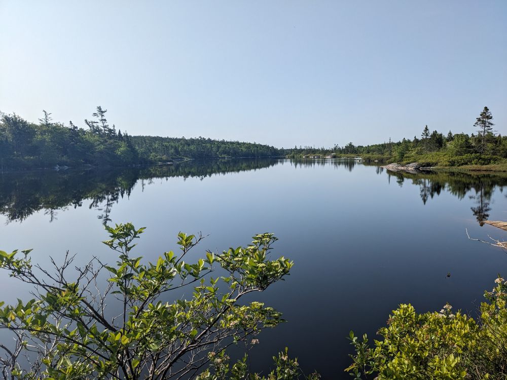 Lake surrounded by forest on a sunny day. The lake is so still that the trees are perfectly reflected in the water