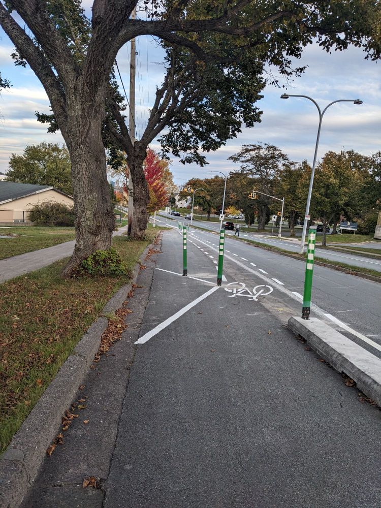 The entrance of a bike lane marked with three flexiposts and a bike symbol. The bike lane further down the hill is marked by a dashed line. There is about the parking spaces to the left of the dashed line. 