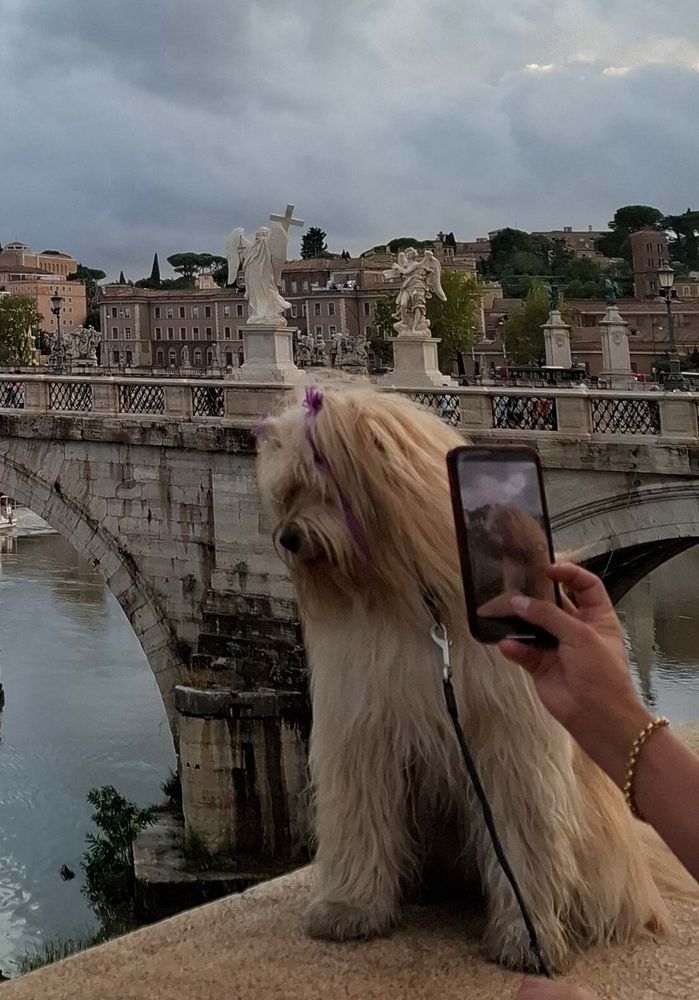Rome. Je prends en photo la personne qui prend en photo sa chienne assise sur un muret. Derrière l'animal on voit une partie du pont Saint Ange qui enjambe le Tibre, le fleuve qui traverse Rome. Ce pont permet de passer du centre historique de Rome vers la cité du Vatican. Sur ce pont, qui a presque 2000 ans, sont édifiés 10 majestueuses statues.