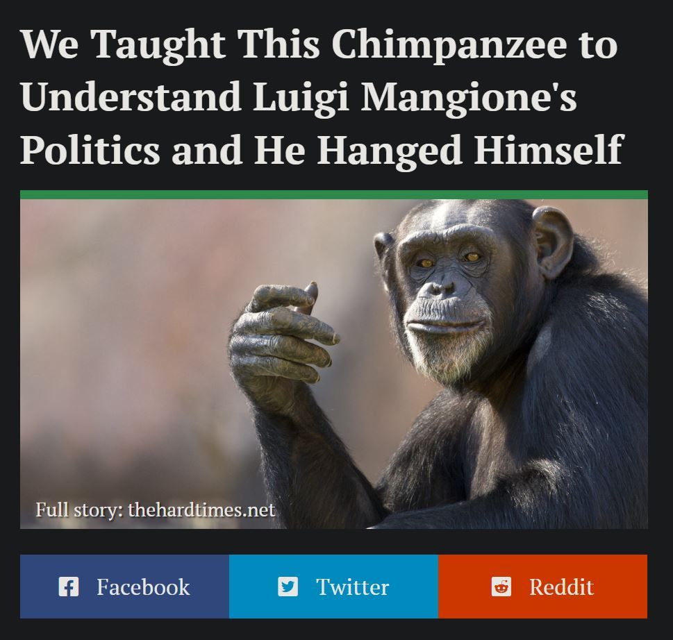 image is a modified screenshot from thehardtimes.net of a headline stating "we taught this chimpanzee to understand luigi mangione's politics and he hanged himself" and a picture of a chimpanzee
