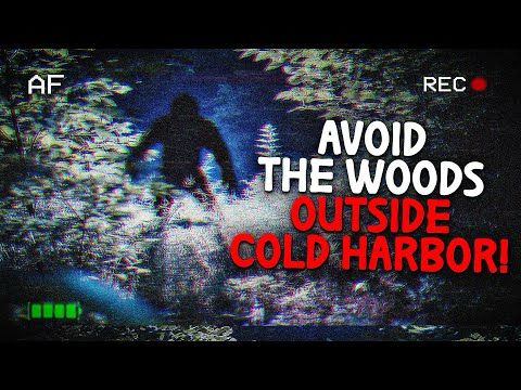 "I Found A Strange Entity In The Woods Many Years Ago" | Creepypasta