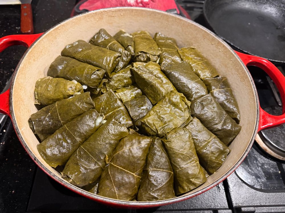 A pot of stuffed grape leaves arranged in layers in an enameled cast iron pot. 
