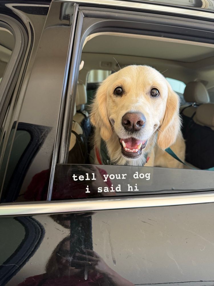 an image of a golden retriever named Birdee sitting in the backseat of a car, smiling directly into the camera. she is situated above WeRateDogs' “tell your dog i said hi” sticker.