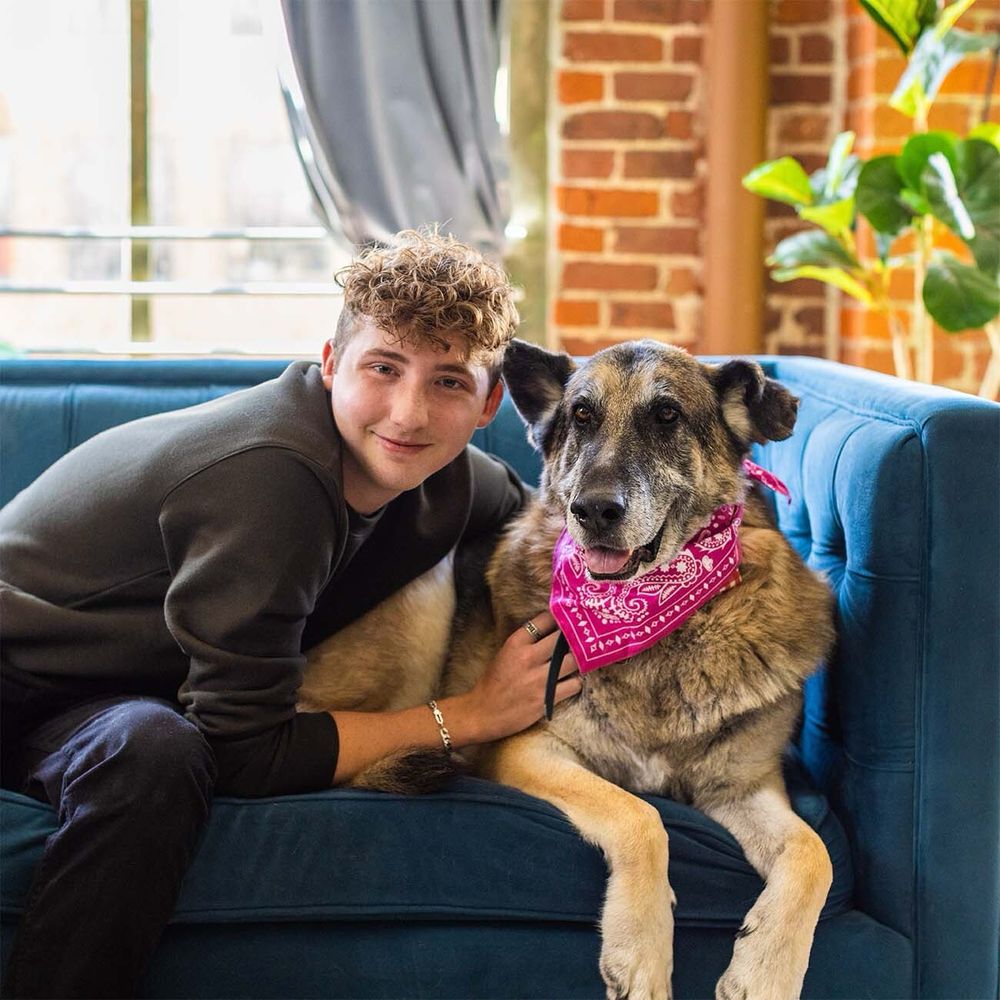 in an archival photo, WeRateDogs founder Matt Nelson, a man with curly hair wearing a long-sleeved shirt, snuggles over on a blue couch to wrap an arm around his senior German shepherd, Doug. Doug is smiling and wearing a bright pink bandana. one of his ears has a signature wonky fold. they both look excited about the project they're launching.